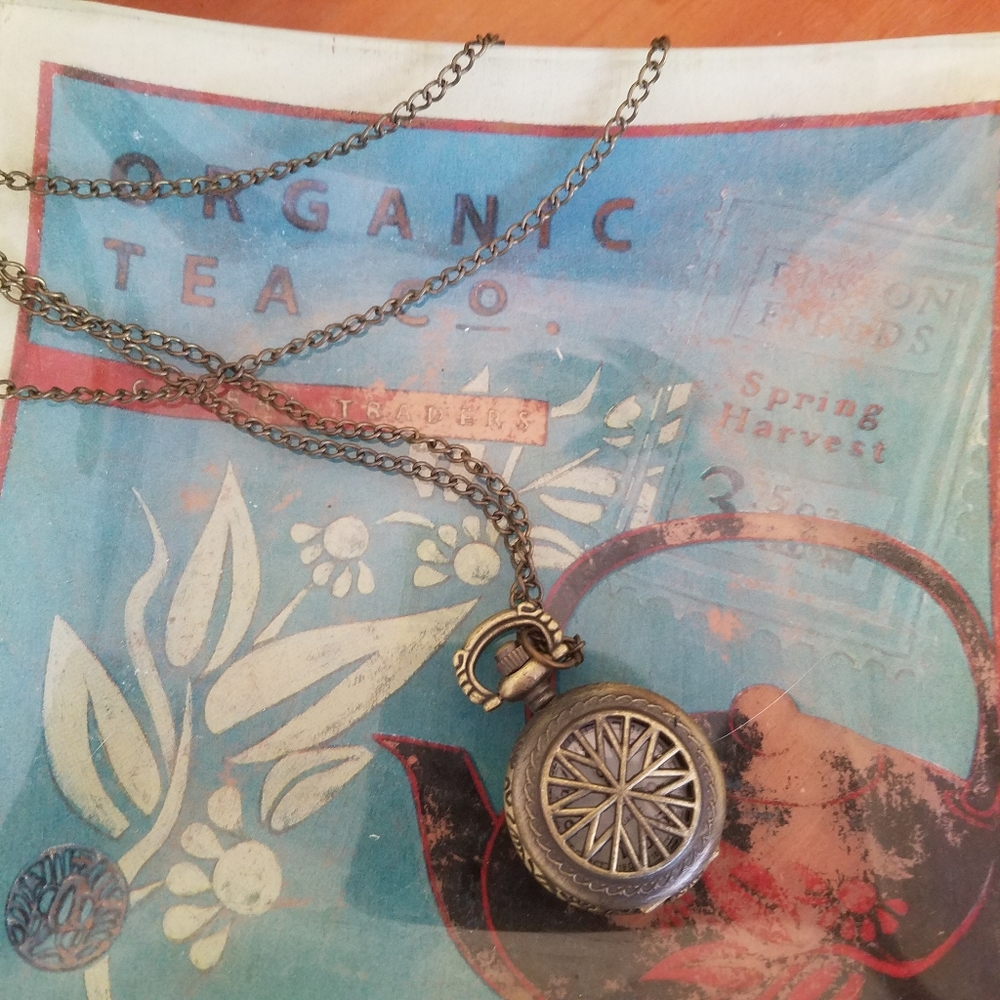Bronze Compass Necklace
